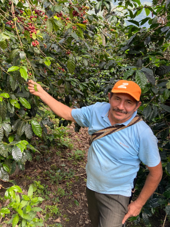 Viani - Colombia